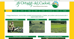 Desktop Screenshot of centrocadore.com