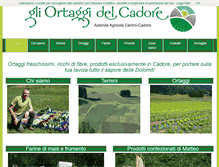 Tablet Screenshot of centrocadore.com
